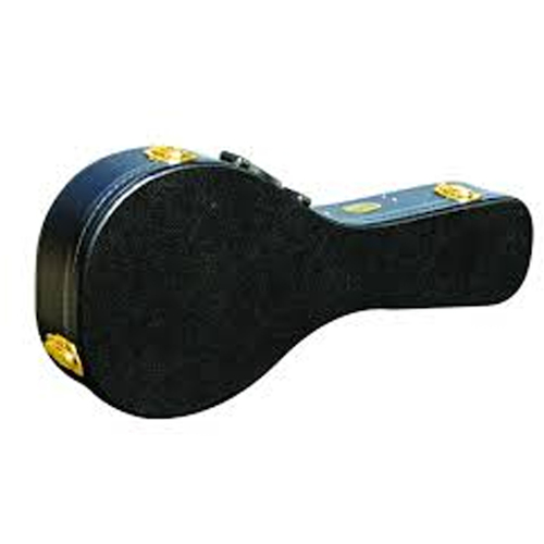 Ashton Apcmd Mandolin Hard Case