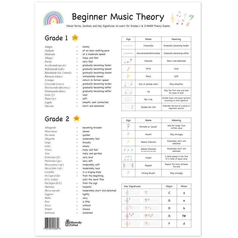 100 Days of Practice Rainbow A3 Music Practice Chart with Beginner Theory Poster — view 3