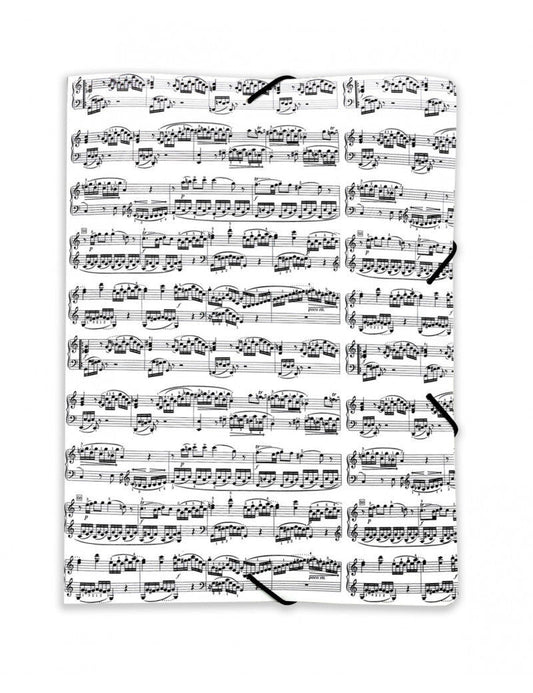 White A4 File with Black Elastic Band Manuscript