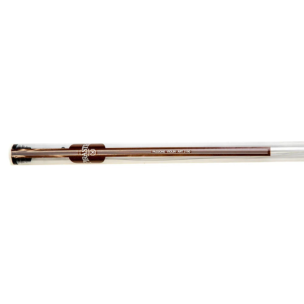 Pirastro Violin Passione Medium Set with Loop E, Gut Core Strings