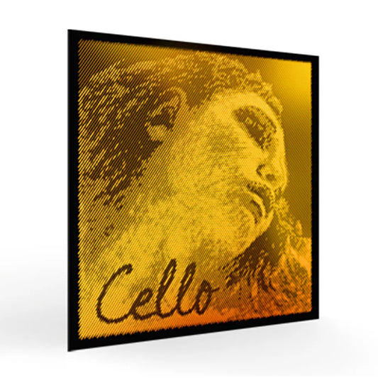 Pirastro Cello Evah Pirazzi Gold G String