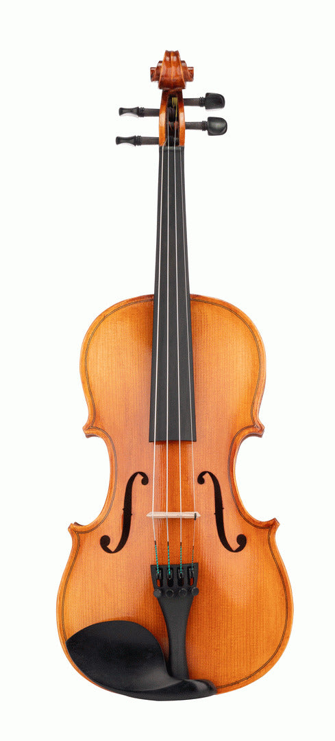 Beale BV134 Violin Standard 3/4 Size Outfit