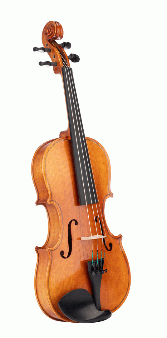 Beale BV134 Violin Standard 3/4 Size Outfit — view 4
