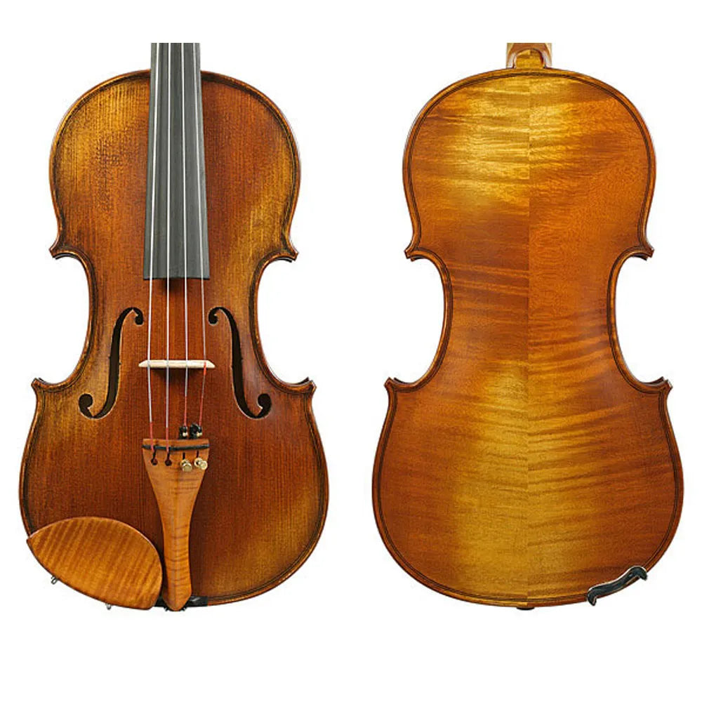 Gliga II Genova Violin Outfit with Opal Gold Strings - 4/4 Size