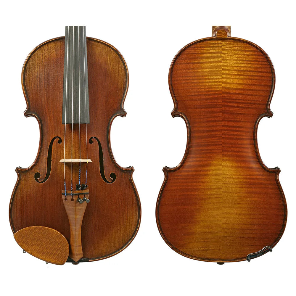 Gliga I Violin Outfit Genova 4/4 with Opal Gold Strings, Articul Bow & HQ Half-Moon Case