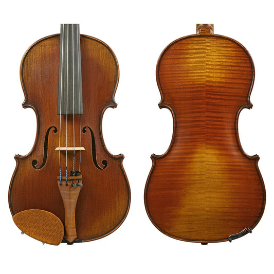 Gliga I Violin Outfit Genova 4/4 with Opal Gold Strings, Articul Bow & HQ Half-Moon Case