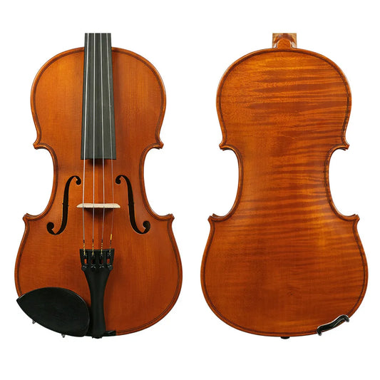 Gliga I Violin Outfit 4/4 - Antique One-Piece Back with Opal Gold Strings, Articul Bow & HQ Half-Moon Case