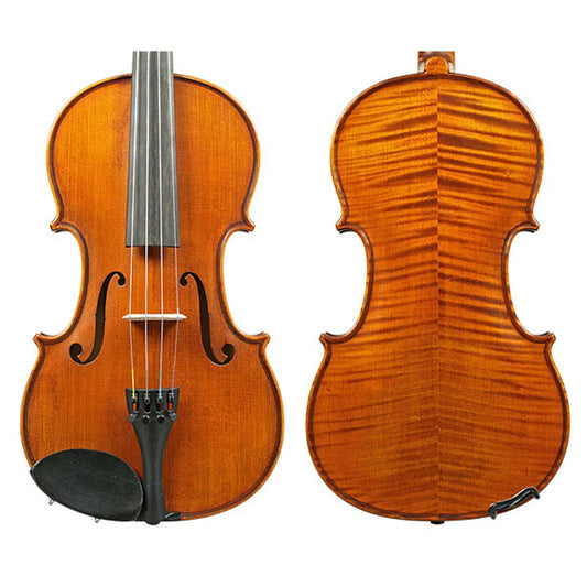 Gliga Vasile Professional Violin 5 Colour 4/4 with Solid Spruce Top and Maple Back