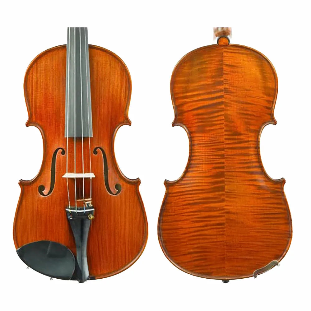 Gliga Vasile Maestro Extra Violin 4/4 with Solid Spruce Top and Maple Body