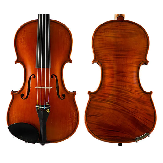 Gliga Vasile Violin Maestro Strad 1-Piece Back with Authenticity Certificate