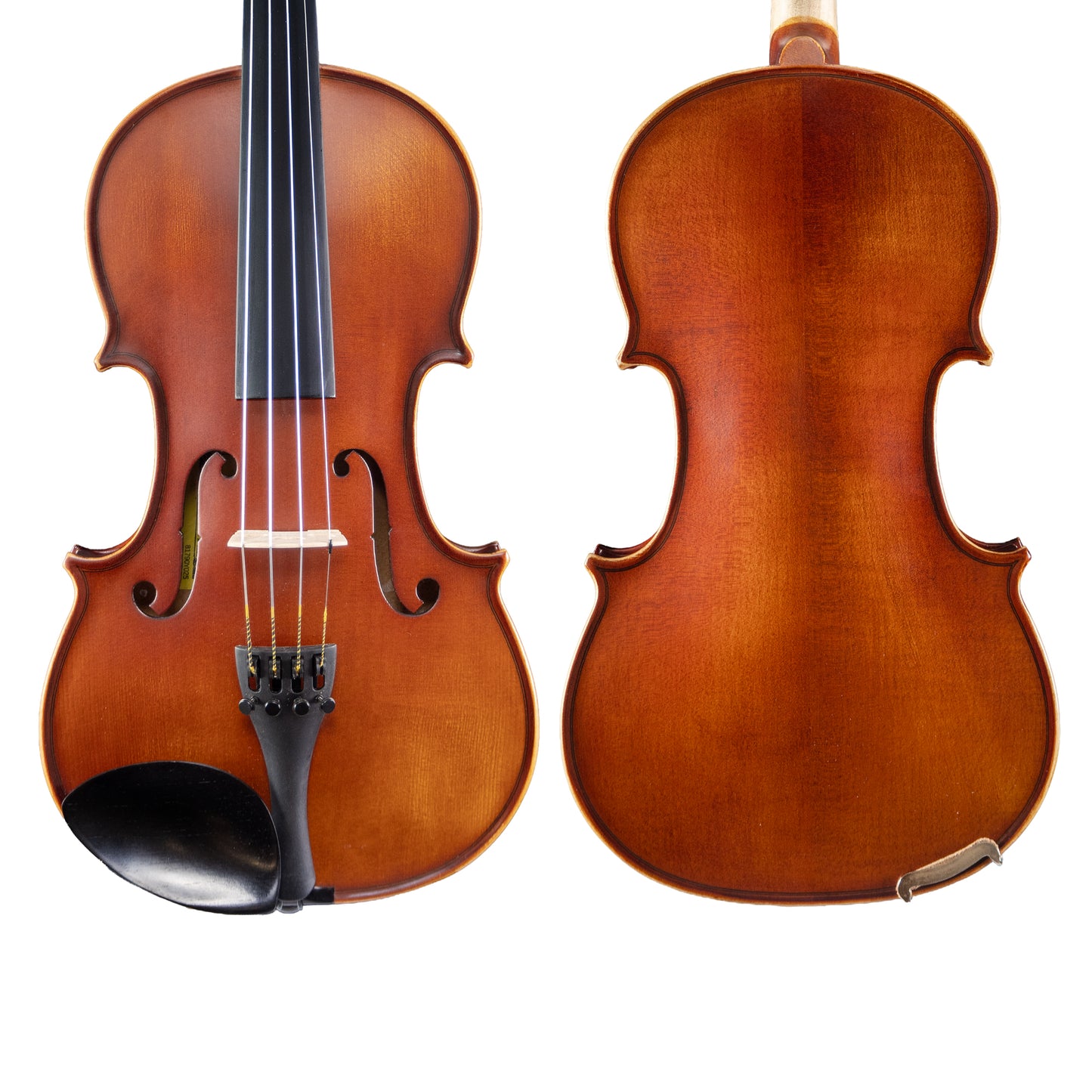 Enrico Student Plus II Violin Outfit with Clarendon Gold - 4/4 Size, Solid Spruce Top, Maple Back, Ebony Fingerboard, FPS Brazilwood Bow, Case Include