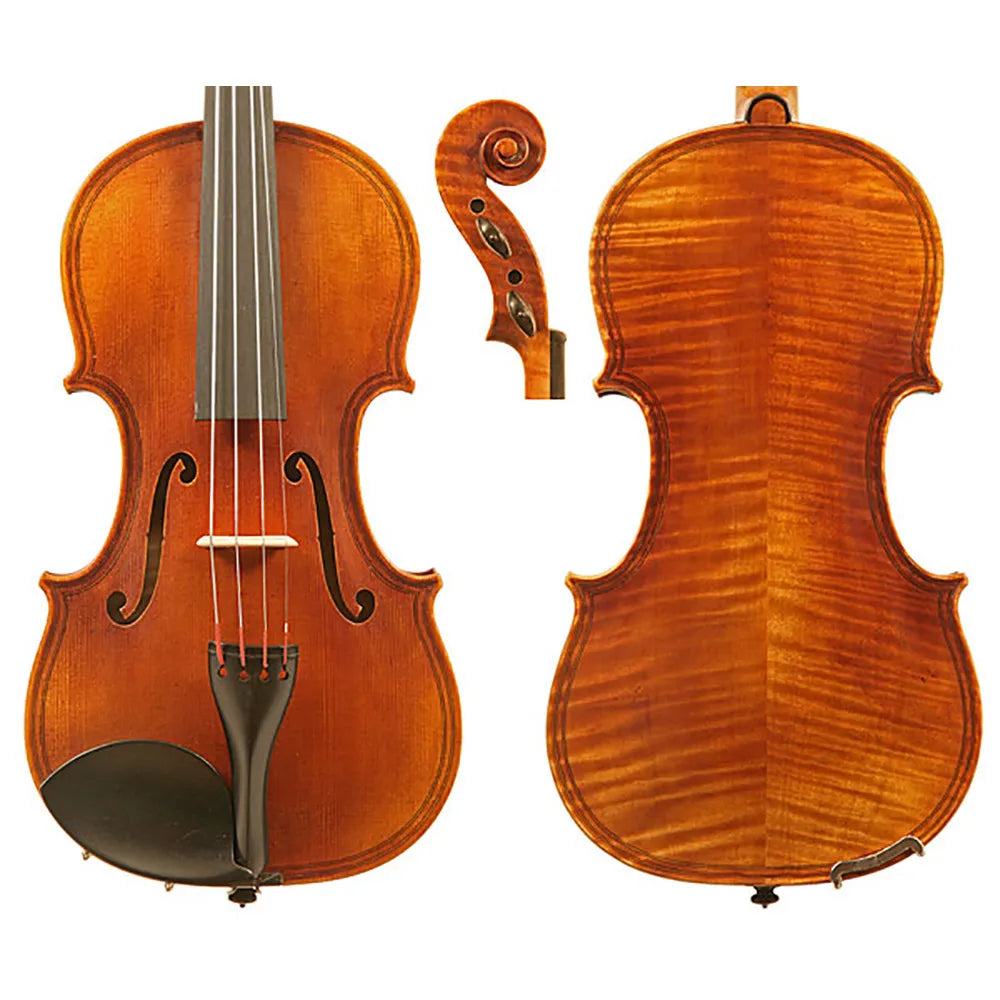 Raggetti Master Violin 1620 Maggini 6.2 Professional Instrument