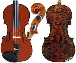 Raggetti Master Violin Plowden Guarneri 6.3 Professional Instrument
