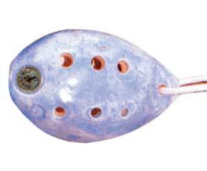 Ocarina By Schwarz-Glazed Oval G