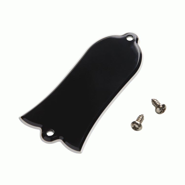 Gibson Truss Rod Cover Blank (Black) — view 2