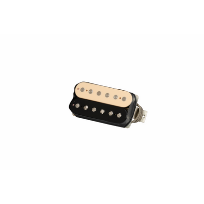 8400972AUSTRALIS
