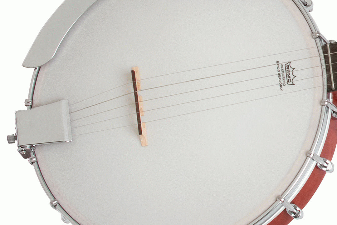 Epiphone MB100 Banjo Vsb — view 2