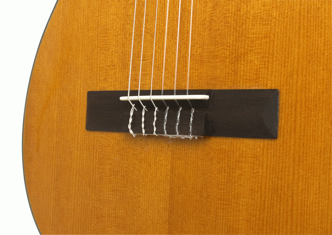 Epiphone Pro1 Classical 4/4 Nylon Guitar An — view 2