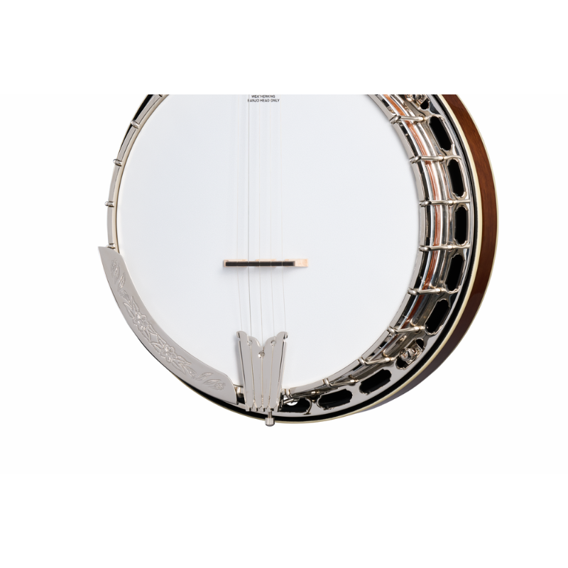 Epiphone Mastertone Classic Banjo with Hard Case — view 3