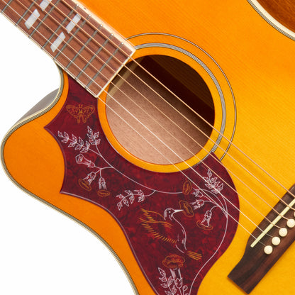Epiphone Hummingbird Studio EC HTG Cherry Burst Left-Handed Guitar — view 3