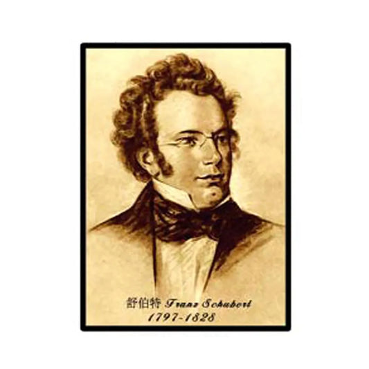 Musician Print 42x30cm - Schubert