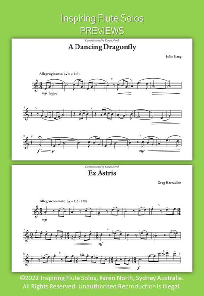 Inspiring Flute Solos by Karen North - Flute Solo Collection, 30 Works, 68 Pages, Allegro Publishing, The Young Flute Player Series — view 6