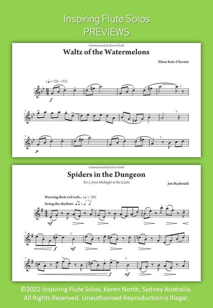 Inspiring Flute Solos by Karen North - Flute Solo Collection, 30 Works, 68 Pages, Allegro Publishing, The Young Flute Player Series — view 3