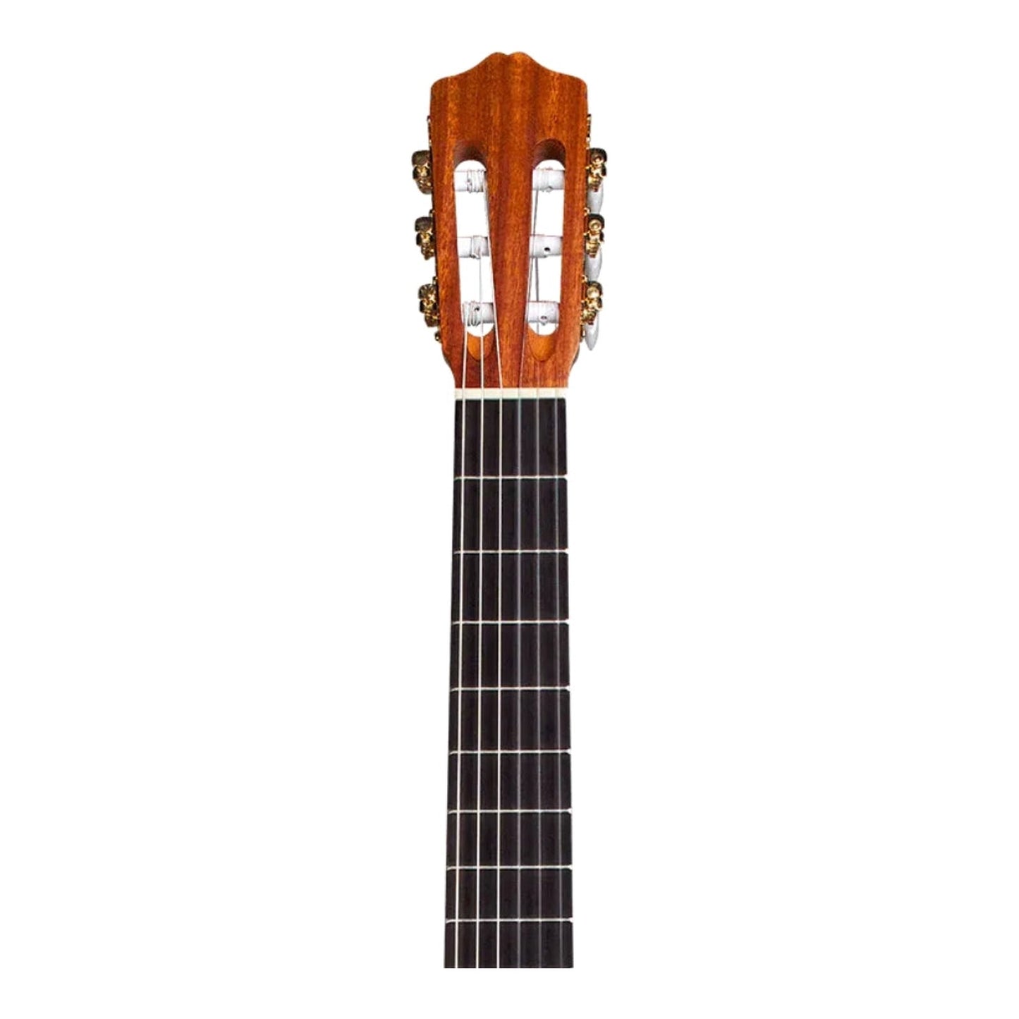 Cordoba Protege C1M Full Size Classical Nylon String Guitar - Natural — view 5