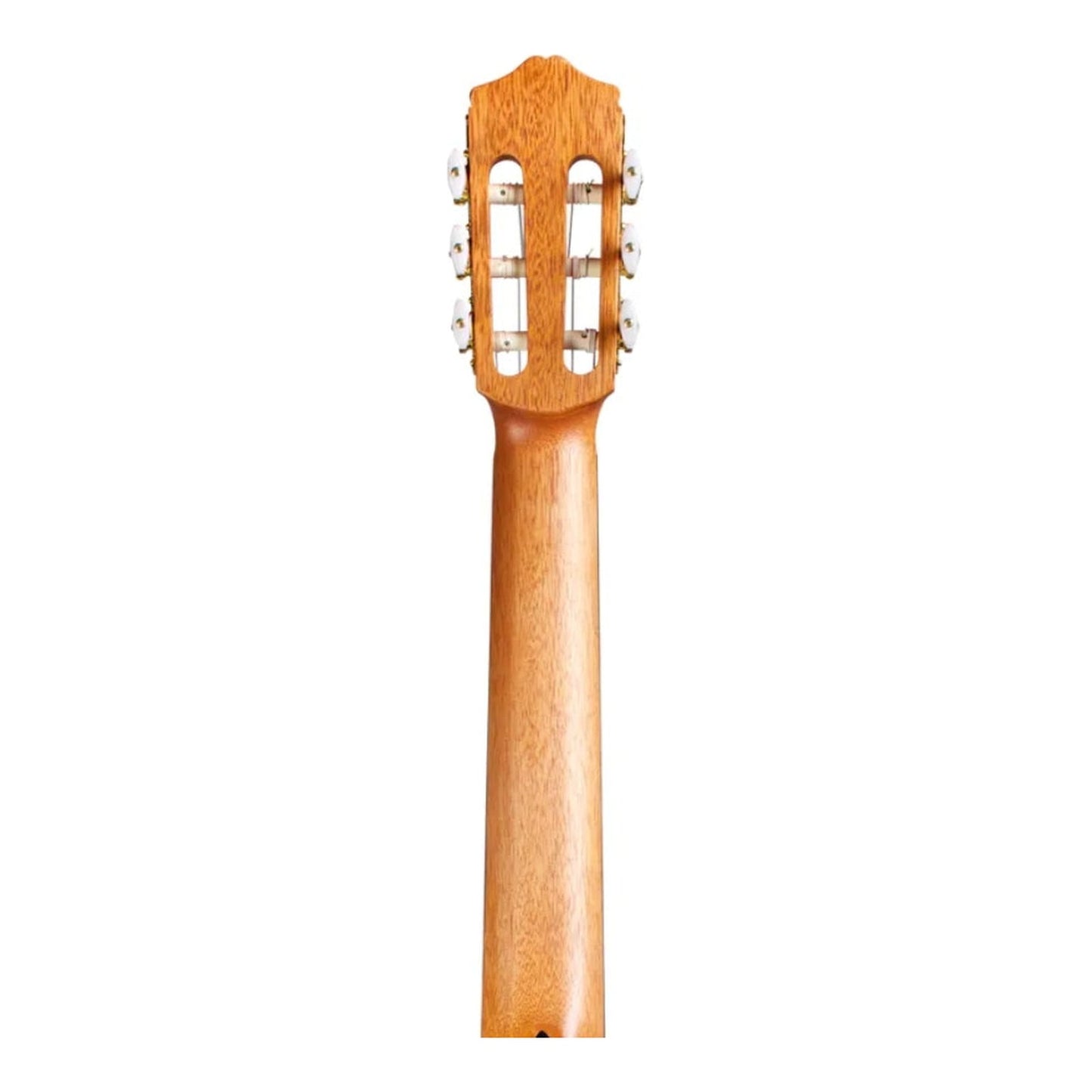 Cordoba Protege C1M Full Size Classical Nylon String Guitar - Natural — view 6