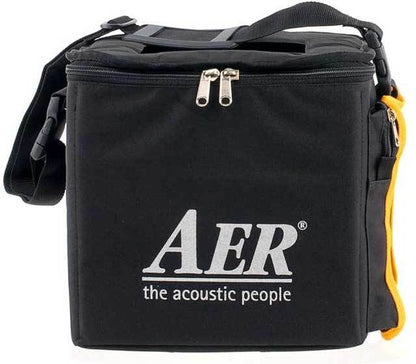 AER Cheeky D 200W Electric Guitar Amp Combo with 10" Speaker, 4 Effects, Solid State & Tube Distortion — view 5