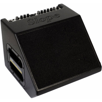 AER Compact 60/4 Slope Acoustic Instrument Amplifier 60W with Monitor Plus Design and Onboard Effects
