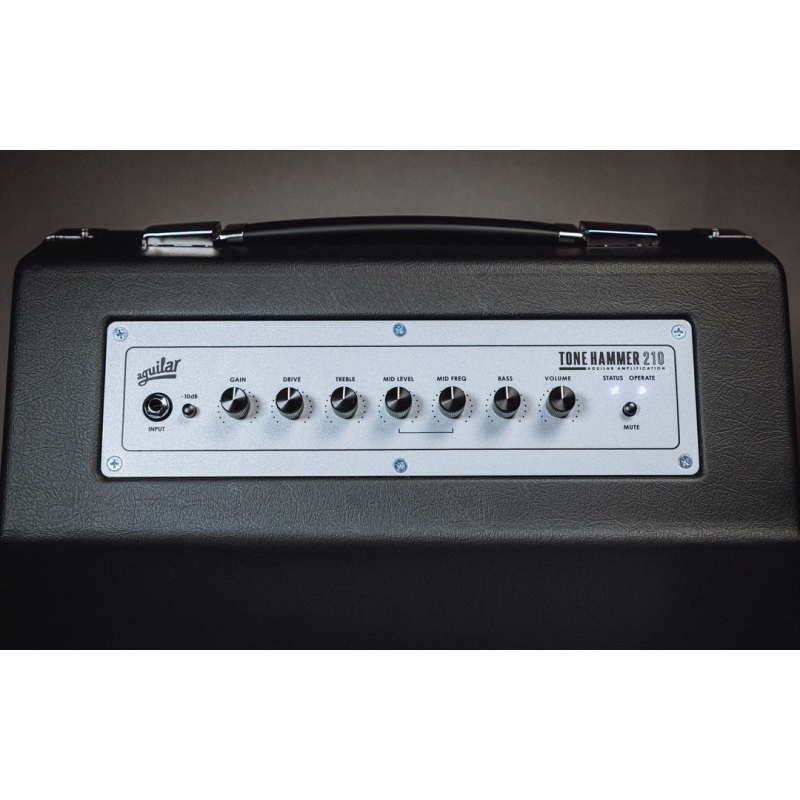 Aguilar Tone Hammer 210 Combo Bass Amplifier — view 3