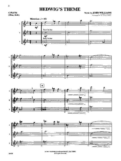 Harry Potter and the Sorcerer's Stone Flute Instrumental Series — view 2
