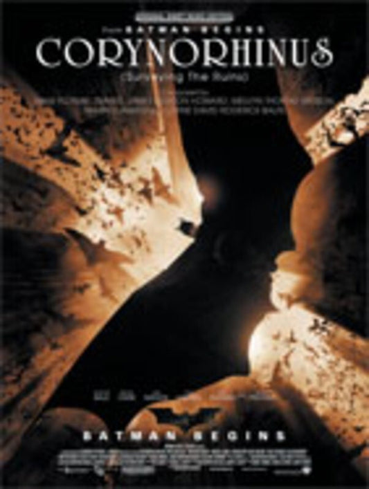 Corynorhinus From Batman Begins Single Sheet