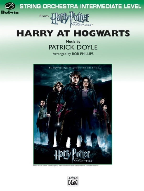Harry At Hogwarts Harry Potter Goblet Of Fire So