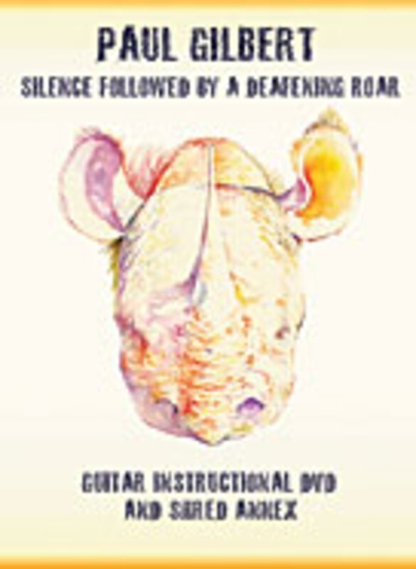 Silence Followed By A Deafening Roar DVD