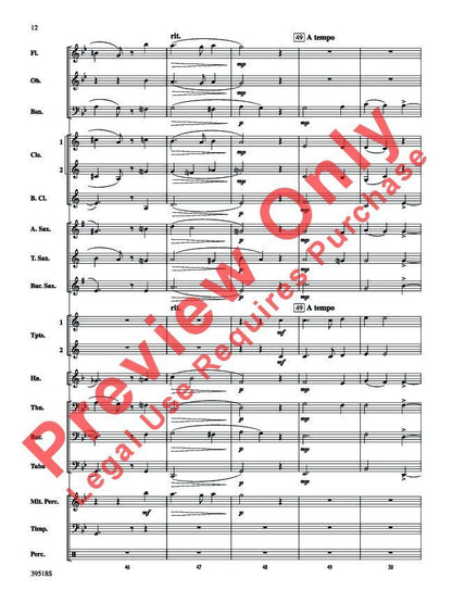 Willow for Concert Band CB2 SC/PTS by Percy Aldridge Grainger, Arranged by Douglas E. Wagner — view 2