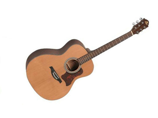 Gilman Auditorium Acoustic Guitar Cedar Top Monogamy Back and Sides