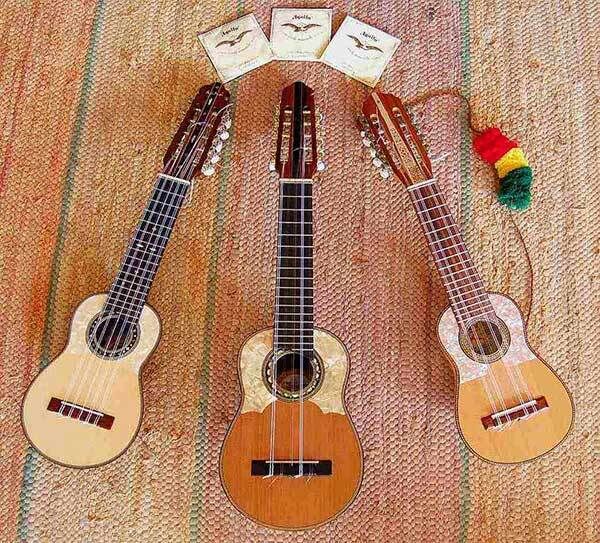 Aquila New Nylgut 10-String Medium Tension Charango String Set — view 3