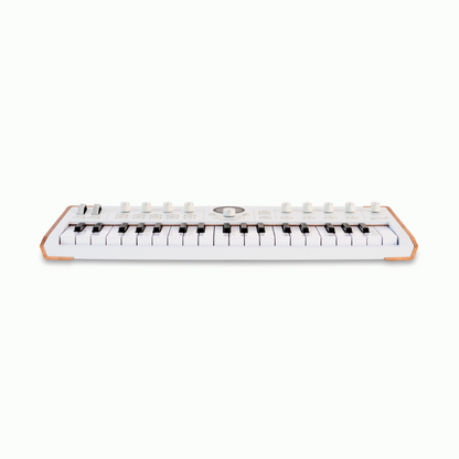 Arturia AstroLab 37 Key Synth Keyboard — view 5