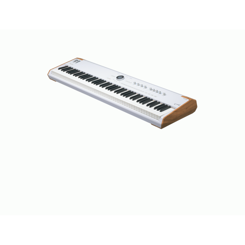 Arturia AstroLab 88 Hammer Action Stage Keyboard Synthesizer — view 2