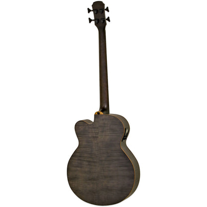 Aria FEB-F2/FL Elecord Fretless Acoustic/Electric Bass Guitar Stained Black — view 2