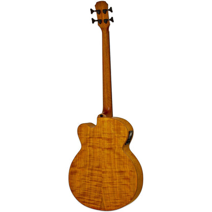 Aria FEB-F2/FL Elecord Series Fretless Acoustic/Electric Bass Guitar - Stained Brown — view 2