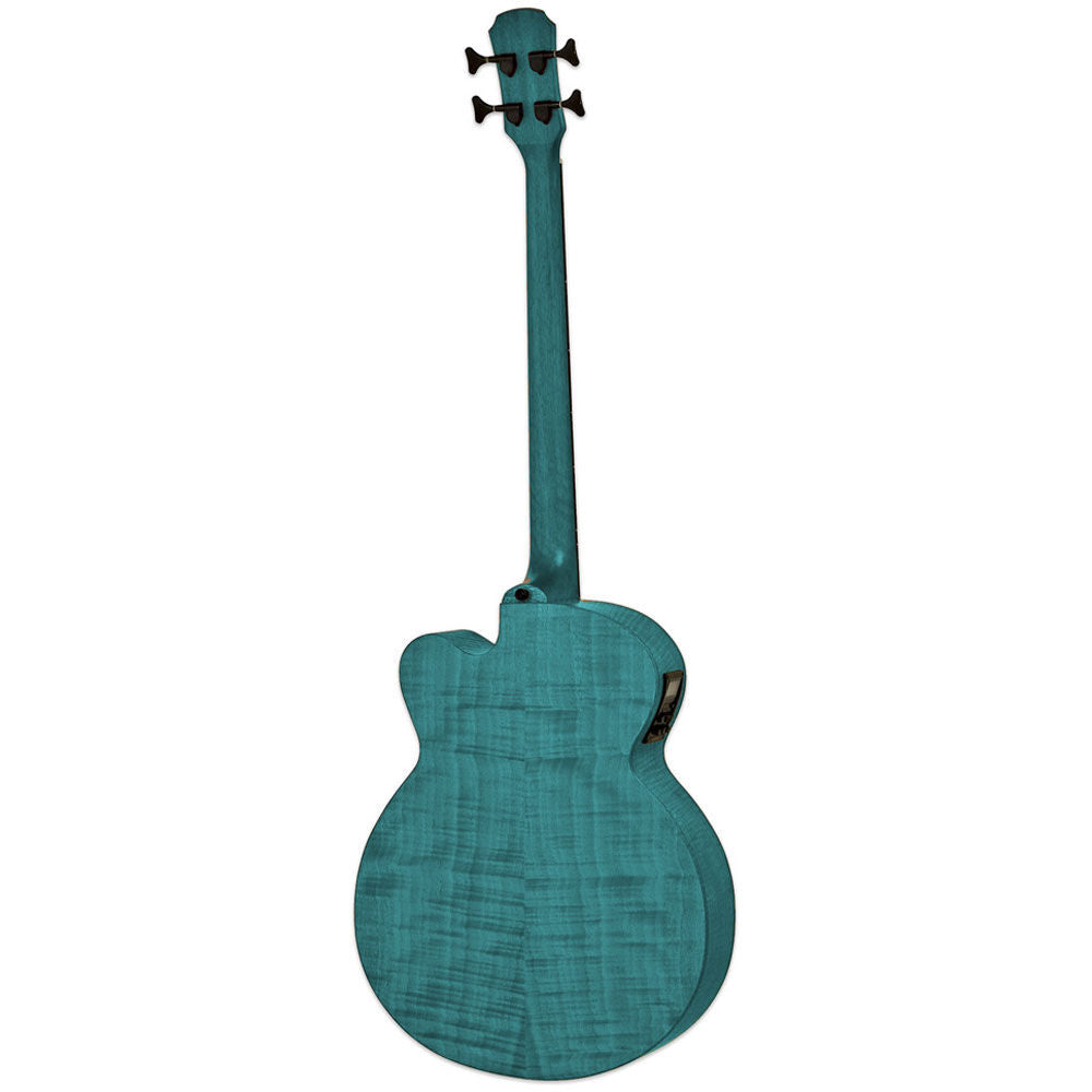 Aria FEB-F2/FL Elecord Fretless Acoustic/Electric Bass Guitar Stained Green — view 2