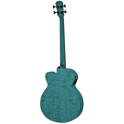 Aria FEB-F2/FL Elecord Fretless Acoustic/Electric Bass Guitar Stained Green — view 2