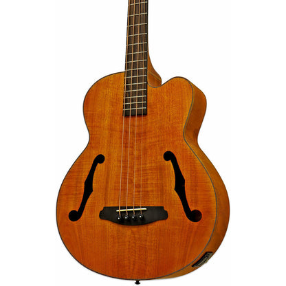 Aria FEB-F2M Elecord Series Medium Scale Fretless Acoustic/Electric Bass Guitar Stained Brown — view 3