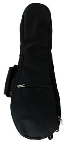 Aria AU-Series Tenor Ukulele Starter Package with Tuner, Gig Bag & Instructional Book with CD/DVD — view 4