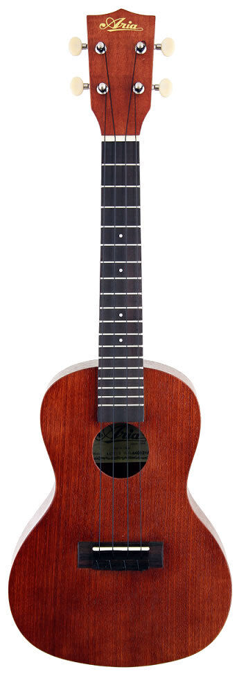 Aria AU-Series Tenor Ukulele Starter Package with Tuner, Gig Bag & Instructional Book with CD/DVD — view 2