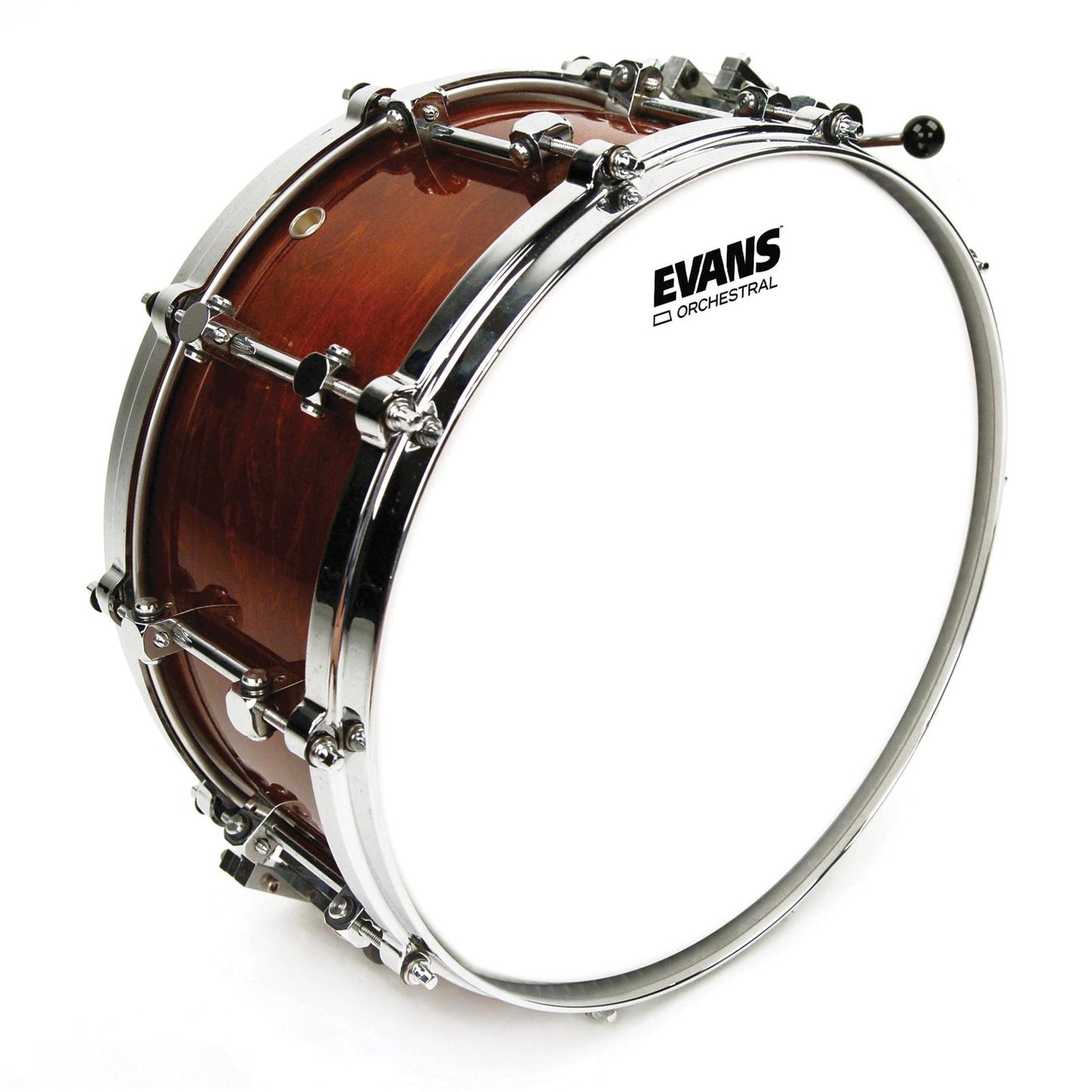 Evans Orchestral Coated White Snare Drum Head, 14 Inch *SKIN ONLY*