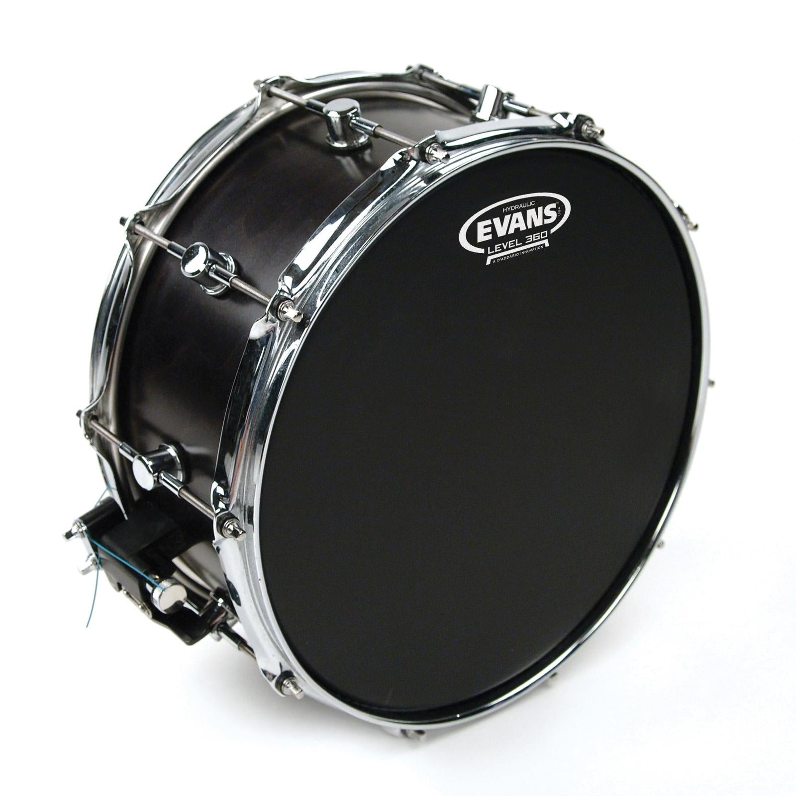 Evans Hydraulic Black Drum Head, 14 Inch *SKIN ONLY*